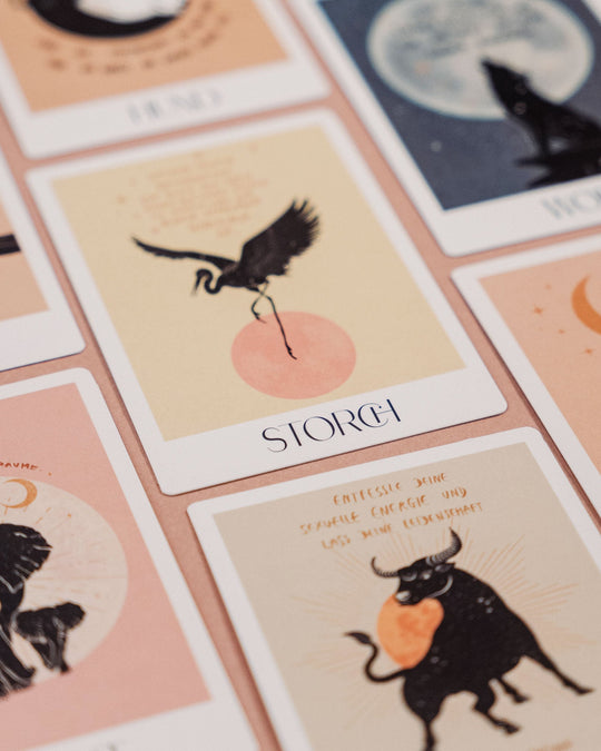 Animal Spirit Kartenset: Spirituelle Nachrichten von deinem Animal Spirit