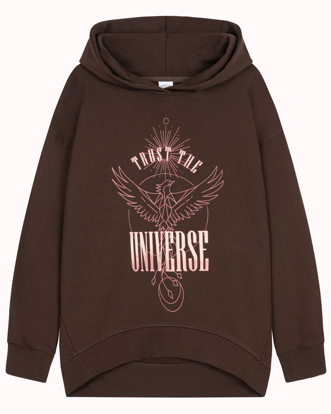 Trust the Universe Hooded Sweatshirt (brown)