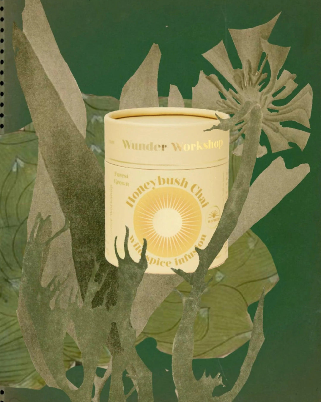 HONEYBUSH CHAI - Wild Spice Infusion X WUNDER WORKSHOP