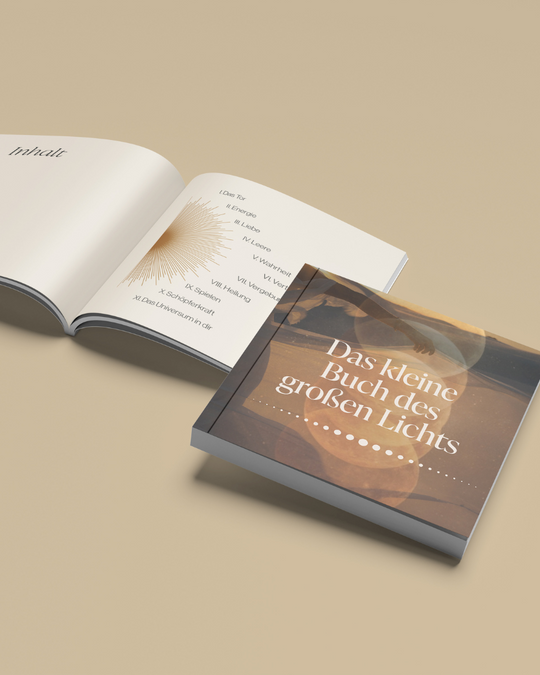 Laura Malina Seiler: Das kleine Buch des grossen Lichts