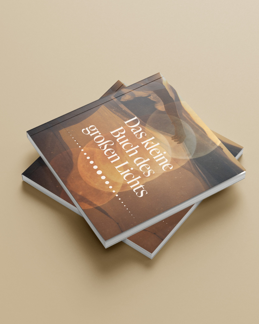 Laura Malina Seiler: Das kleine Buch des grossen Lichts